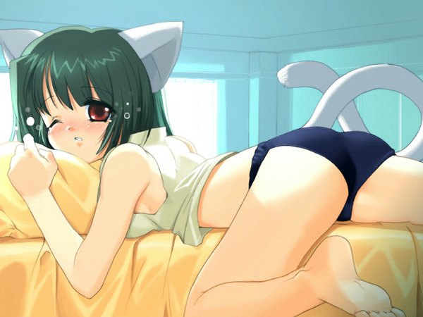 Anime picture 1066x800 with animal ears tail cat girl girl tagme