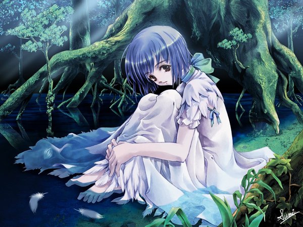 Anime picture 1024x768 with canvas (anime) sumi keiichi brown eyes blue hair barefoot soles nature leg hug dress ribbon (ribbons) plant (plants) tree (trees) water white dress feather (feathers) forest hands