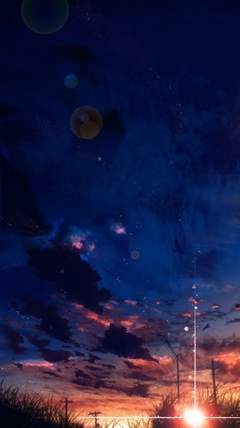 Anime-Bild 1440x2560 mit original y y (ysk ygc) tall image sky cloud (clouds) sunlight lens flare evening sunset no people sunbeam plant (plants) animal bird (birds) grass power lines lamppost