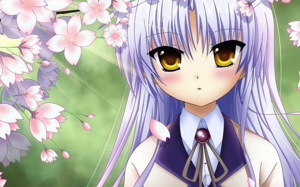 Anime picture 1680x1050 with angel beats! key (studio) tachibana kanade single long hair blush wide image silver hair cherry blossoms girl petals