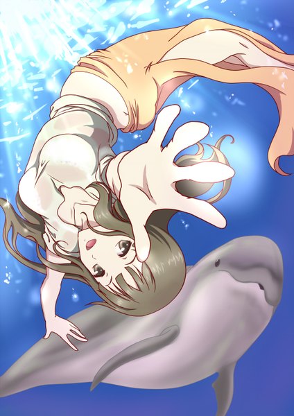 Anime picture 1000x1414 with hanasaku iroha p.a. works oshimizu nako long hair tall image looking at viewer open mouth brown hair brown eyes underwater girl dolphin