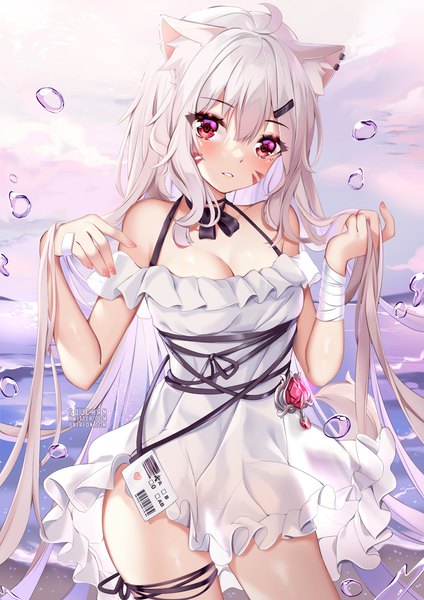Anime picture 884x1250 with virtual youtuber indie virtual youtuber shyrei faolan squchan single tall image looking at viewer blush fringe breasts light erotic hair between eyes red eyes large breasts standing signed animal ears payot sky cleavage