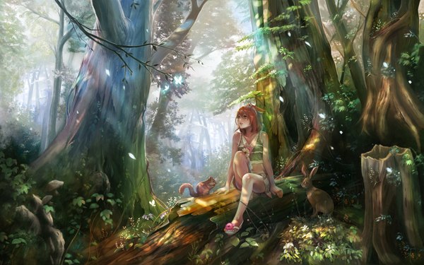 Anime picture 1920x1200 with original hage2013 single highres short hair brown hair wide image brown eyes animal ears cat ears orange hair realistic looking up girl flower (flowers) plant (plants) animal tree (trees) insect butterfly