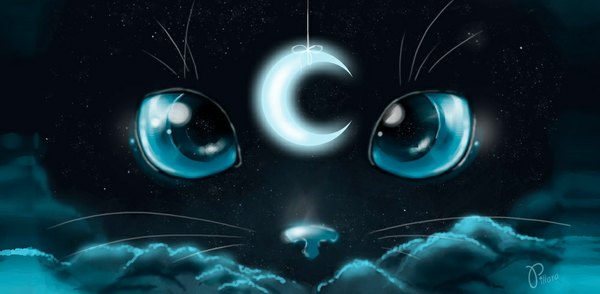 Anime picture 1000x490 with bishoujo senshi sailor moon toei animation luna (sailor moon) pillara looking at viewer blue eyes wide image signed cloud (clouds) night night sky glow crescent eyes animal cat mustache