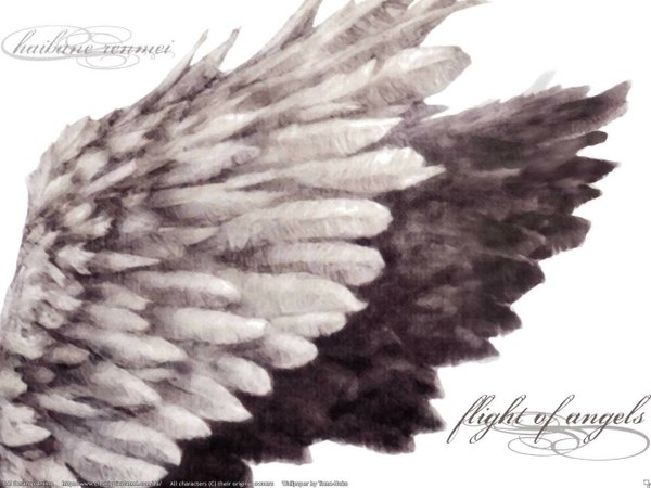 Аниме картинка 1280x960 с союз серокрылых простой фон белый фон надпись текст английский текст крылья перо (перья)