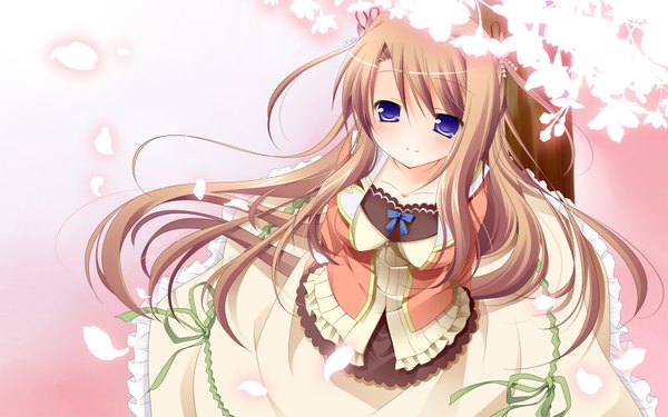 Anime picture 1680x1050 with long hair blue eyes brown hair wide image girl dress petals