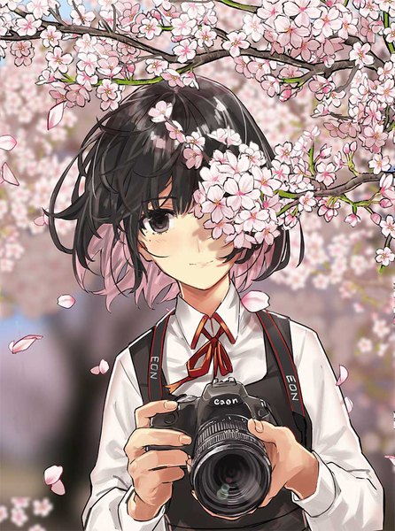 Anime picture 824x1107 with original teshima nari single tall image looking at viewer fringe short hair black hair smile pink hair outdoors head tilt multicolored hair wind black eyes cherry blossoms colored inner hair spring girl flower (flowers)