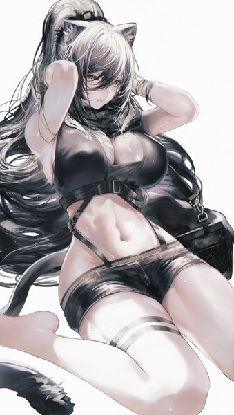 Anime picture 1500x2656 with arknights schwarz (arknights) solfi0211 single long hair tall image looking at viewer fringe breasts light erotic simple background hair between eyes large breasts white background sitting animal ears yellow eyes tail animal tail grey hair