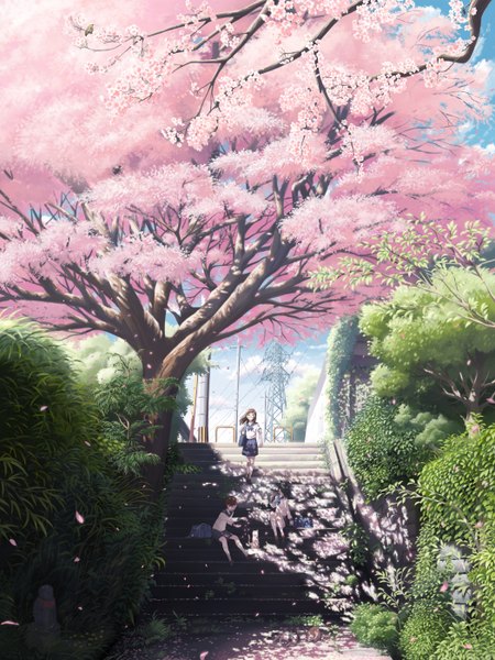 Anime picture 2100x2800 with original inoki-08 long hair tall image highres short hair brown hair sitting multiple girls brown eyes sunlight shadow cherry blossoms walking scenic spring girl skirt uniform flower (flowers)