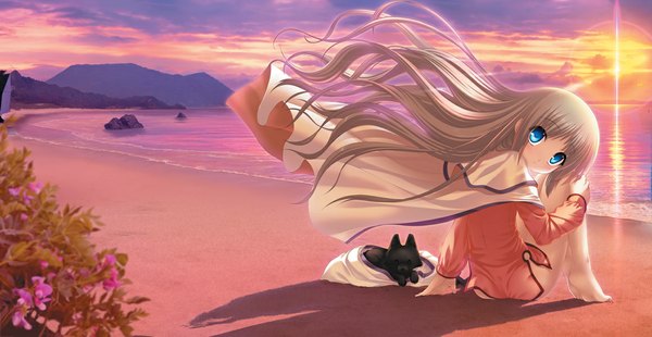 Anime picture 1160x600 with little busters! key (studio) noumi kudryavka blue eyes blonde hair wide image loli beach evening sunset girl dog