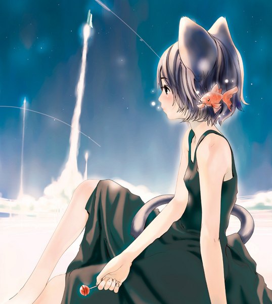 Anime picture 1100x1228 with original houden eizou tall image blush short hair brown hair sitting profile cat girl night sky sleeveless girl animal food sweets star (stars) sundress fish (fishes) spacecraft rocket