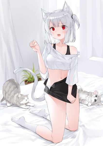 Anime picture 1414x2000 with original lee seok ho tall image looking at viewer blush fringe short hair open mouth light erotic hair between eyes red eyes animal ears silver hair indoors tail animal tail cat ears off shoulder cat girl cat tail