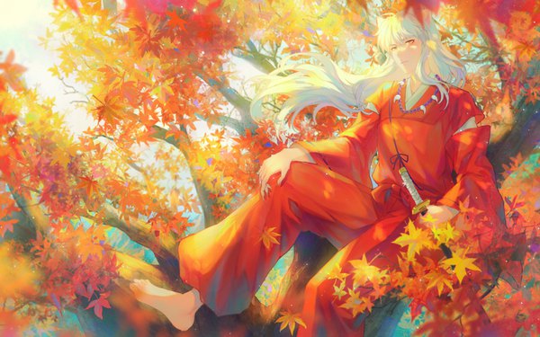 Anime picture 1600x1000 with inuyasha inuyasha (character) yingsu jiang single long hair sitting animal ears yellow eyes full body white hair traditional clothes japanese clothes barefoot hand on knee autumn dog ears tree sitting boy weapon sword