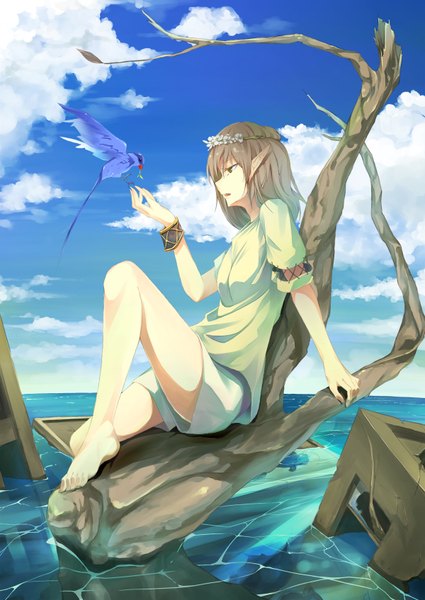 Anime picture 1200x1694 with original amagi mist single tall image short hair brown hair brown eyes sky cloud (clouds) profile barefoot pointy ears bare legs legs horizon girl plant (plants) tree (trees) water shorts