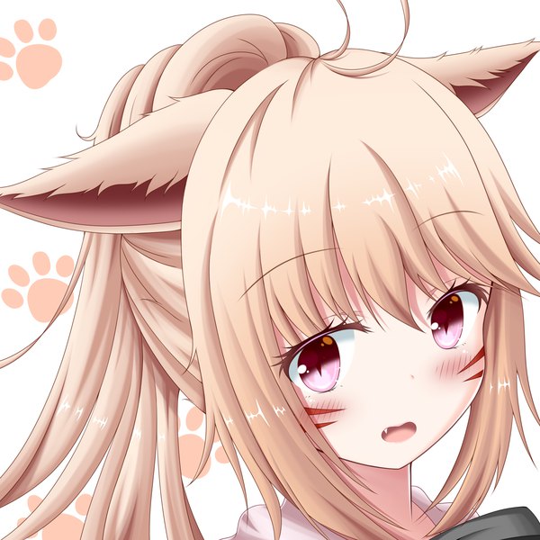 Anime picture 2800x2800 with final fantasy final fantasy xiv square enix miqo'te tengeiji single long hair blush highres open mouth blonde hair white background animal ears payot ahoge ponytail pink eyes cat ears fang (fangs) facial mark