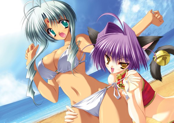 Anime picture 2500x1779 with puni puni handmaid kurohime (puni puni handmaid) mau (puni puni handmaid) aoi yuuji highres short hair breasts open mouth light erotic large breasts multiple girls animal ears yellow eyes sky silver hair purple hair ahoge tail animal tail aqua eyes