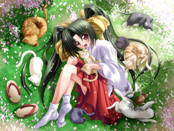 Anime picture 1024x768 with original noritama (gozen) long hair smile japanese clothes miko cat