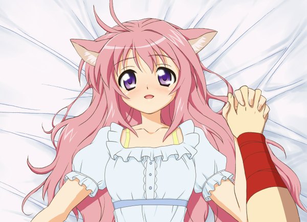 Anime-Bild 1379x1000 mit dog days millhiore f biscotti zouni (xavier) long hair purple eyes pink hair lying dog ears girl