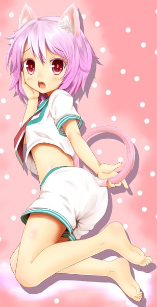 Anime picture 1481x2879 with kantai collection tama light cruiser tama (kantai collection) shiron (e1na1e2lu2ne3ru3) tall image looking at viewer short hair red eyes animal ears pink hair purple hair tail animal tail barefoot cat ears bare legs cat girl cat tail kemonomimi mode girl