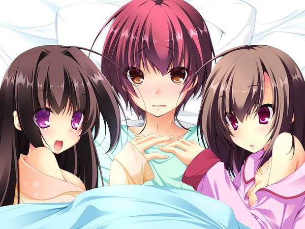 Anime picture 1024x768 with suki de suki de tamaranai tagme (character) long hair blush short hair open mouth black hair brown hair purple eyes multiple girls brown eyes game cg red hair girl boy 2 girls