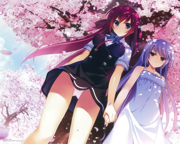 Anime picture 2186x1758 with grisaia no kajitsu suou amane kazami kazuki fumio (ura fmo) long hair looking at viewer highres blue eyes light erotic red eyes multiple girls silver hair red hair scan official art from below pantyshot cherry blossoms holding hands girl