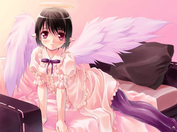 Anime picture 1600x1200 with original shirota dai looking at viewer blush short hair open mouth brown hair sitting pink eyes pointy ears pink background angel girl thighhighs dress wings white dress pillow halo couch