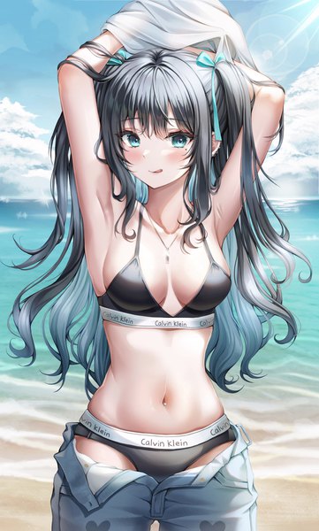 Anime picture 2620x4358 with original calvin klein wol (wol 927) single long hair tall image looking at viewer blush fringe highres breasts light erotic black hair smile large breasts sky cloud (clouds) outdoors multicolored hair aqua eyes