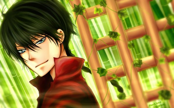 Anime picture 2560x1600 with katekyou hitman reborn fon kuryuki single long hair highres wide image braid (braids) green hair arcobaleno boy plant (plants)