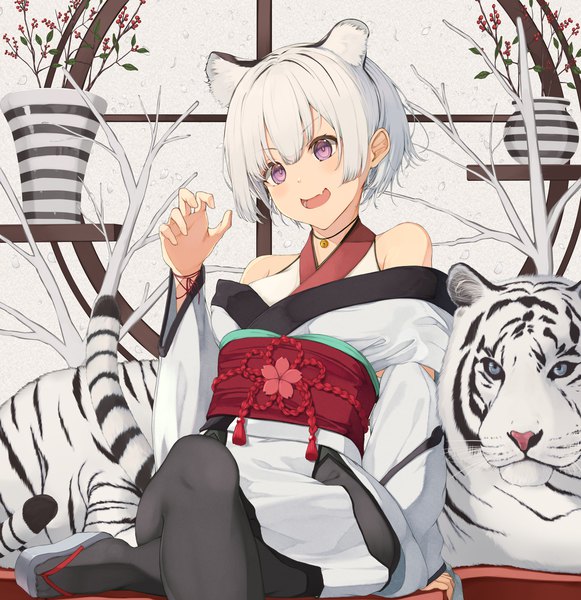 Anime picture 2211x2283 with original piisu single tall image highres short hair sitting purple eyes animal ears looking away white hair tail animal tail arm support new year tiger ears tiger tail tiger girl girl animal