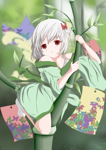 Anime picture 2480x3508 with single tall image highres short hair red eyes absurdres white hair tanabata girl plant (plants) bamboo