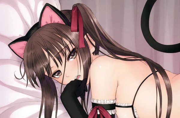 Anime picture 1717x1130 with fault!! sugiyama mio tony taka single long hair looking at viewer highres light erotic brown hair bare shoulders animal ears animal tail black eyes cat ears cat girl cat tail flat chest cropped girl gloves