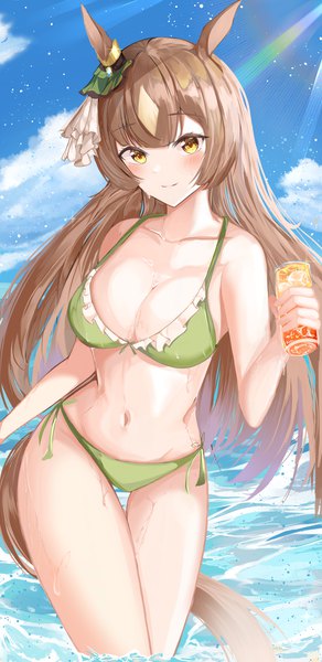 Anime picture 2038x4185 with umamusume satono diamond teca (ryeol) single long hair tall image looking at viewer blush fringe highres breasts light erotic smile brown hair large breasts standing holding animal ears yellow eyes sky