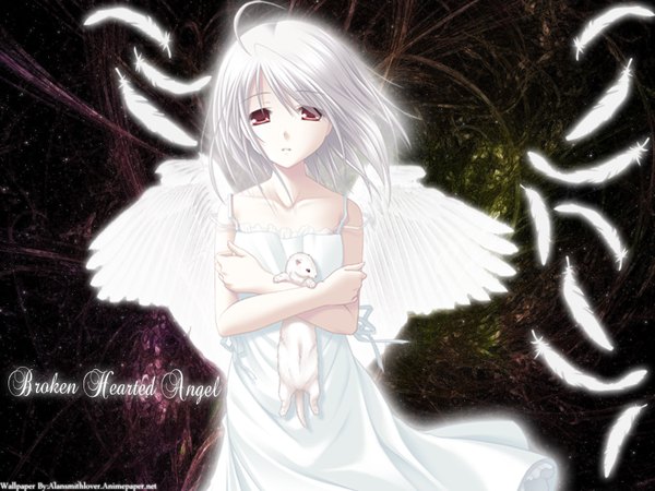 Anime picture 1600x1200 with white clarity red eyes white hair wind girl dress animal wings white dress feather (feathers) ferret