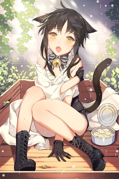 Anime picture 650x975 with sword girls sita vilosa gearous single tall image looking at viewer blush short hair open mouth light erotic brown hair animal ears ahoge tail cat ears teeth fang (fangs) rain brick wall convenient leg