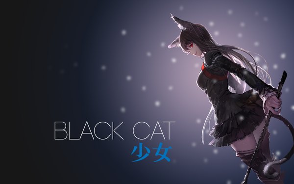 Anime picture 1920x1200 with original pixiv fantasia pixiv fantasia fallen kings ask (askzy) assassinwarrior single long hair tall image looking at viewer highres black hair red eyes animal ears tail animal tail fingernails light smile cat ears cat tail zettai ryouiki
