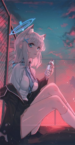 Anime picture 3672x7059 with blue archive shiroko (blue archive) domi (hyaku8795) single tall image looking at viewer blush fringe highres short hair blue eyes smile sitting animal ears absurdres sky silver hair cloud (clouds) outdoors blunt bangs