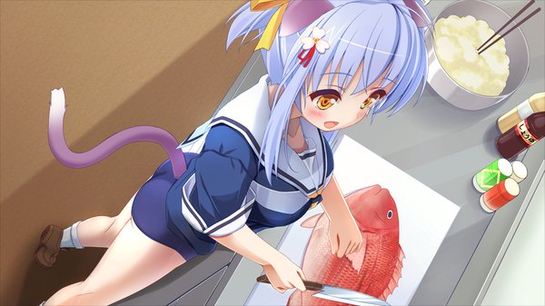 Anime picture 1024x576 with neko masshigura blush short hair open mouth wide image standing animal ears yellow eyes blue hair game cg indoors tail animal tail from above cat ears cat girl cat tail cooking girl animal