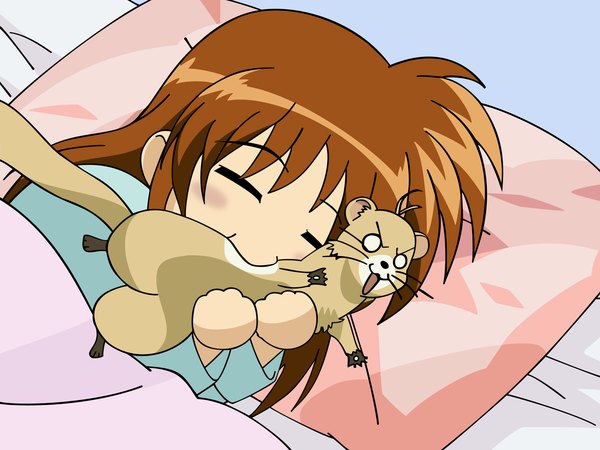 Anime picture 1600x1200 with mahou shoujo lyrical nanoha takamachi nanoha as light erotic sleeping vector girl ferret yuuno scryer chomp