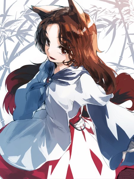 Anime picture 1200x1600 with touhou imaizumi kagerou geppewi single long hair tall image brown hair standing brown eyes animal ears tail animal tail from above sunlight cat ears open clothes teeth cat girl cat tail fang (fangs)