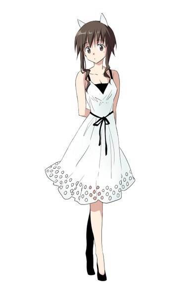 Anime picture 1043x1596 with strike witches takei junko agahari single long hair tall image looking at viewer fringe short hair simple background brown hair white background bare shoulders brown eyes animal ears hands behind back dog ears girl dress white dress