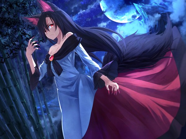 Anime picture 1600x1200 with touhou imaizumi kagerou ibuki notsu single long hair fringe black hair red eyes standing bare shoulders animal ears looking away cleavage cloud (clouds) tail nail polish animal tail fingernails night night sky