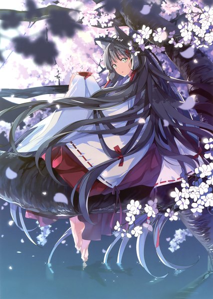 Anime picture 2489x3500 with original taira tsukune single tall image looking at viewer highres black hair green eyes animal ears very long hair traditional clothes japanese clothes scan official art dark background miko girl flower (flowers) plant (plants) tree (trees)