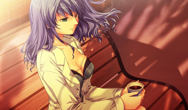 Anime picture 1024x600 with akikaze personal (game) tagme (character) long hair wide image purple eyes green eyes game cg girl