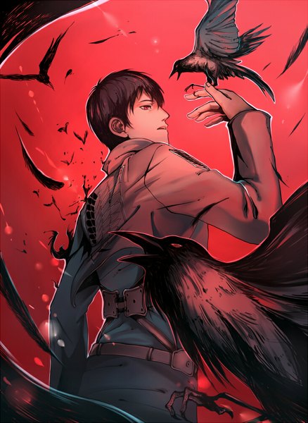 Anime picture 730x1000 with shingeki no kyojin production i.g bertolt hoover single tall image fringe open mouth red eyes brown hair standing from below back flying boy animal bird (birds) feather (feathers) crow coat of arms