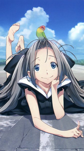 Anime picture 720x1280 with robotics;notes production i.g airi (robotics;notes) fukuda tomonori long hair tall image blue eyes smile cloud (clouds) lying barefoot grey hair on stomach head rest animal on head bird on head girl dress bow hair bow