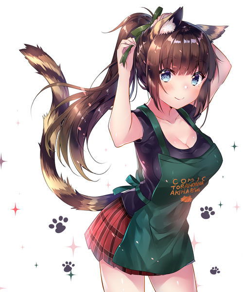 Anime picture 1250x1500 with original usagihime single long hair tall image looking at viewer blush fringe breasts blue eyes simple background smile hair between eyes brown hair standing white background animal ears cleavage ponytail tail