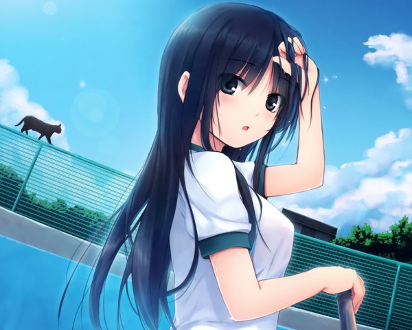 Anime picture 1920x1536 with cure girl noesis (studio) kunimura kotone coffee-kizoku single long hair looking at viewer highres open mouth blue hair sky cloud (clouds) black eyes adjusting hair blue background girl uniform plant (plants) animal tree (trees)