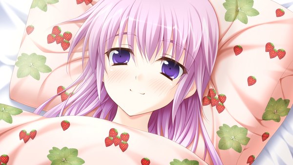 Anime picture 2560x1440 with yaneura no kanojo dp minase (artist) long hair blush highres wide image purple eyes game cg purple hair lying food print strawberry print girl pillow
