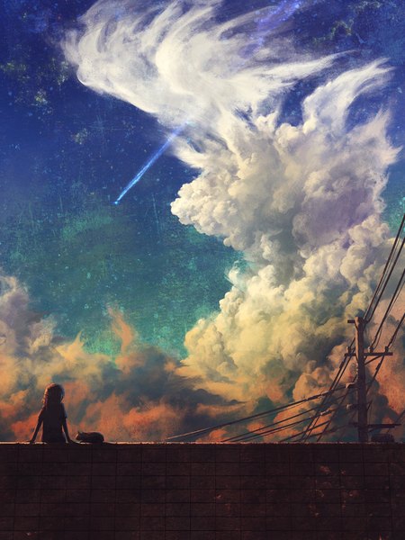 Anime picture 750x1000 with original noske long hair tall image sitting sky cloud (clouds) lying shooting star girl animal star (stars) cat fence wall power lines