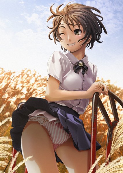 Anime picture 1065x1500 with original v-mag single tall image blush short hair open mouth light erotic smile brown hair brown eyes pleated skirt one eye closed wind wink pantyshot field girl underwear panties